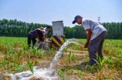 采取活跃措施经过调度水源抗旱喷防等方式竭尽全力保夏收