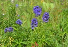 没有围墙的实验室便是一种心连心幸福教育的新式教育实践